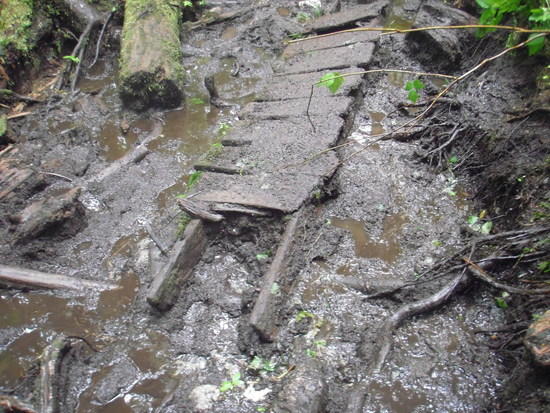 Boardwalk in disrepair