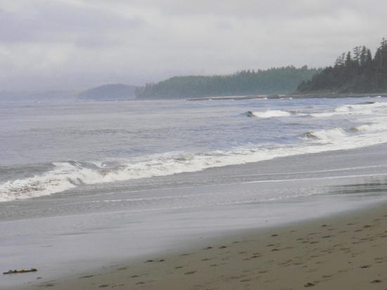 Beach Walk