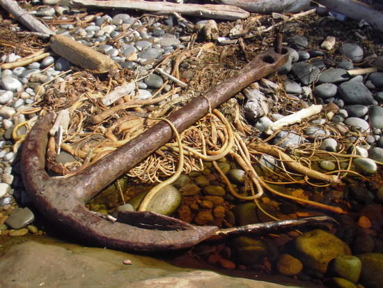 Anchor