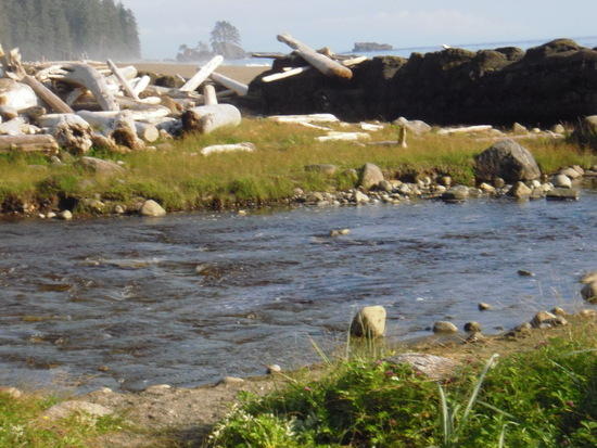 Creekside campsite