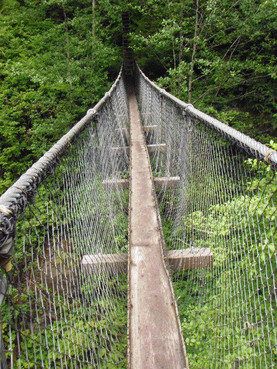 Suspension Bridge on WCT
