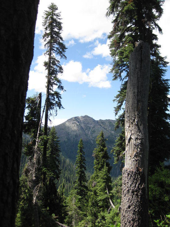Near Whiskey Camp