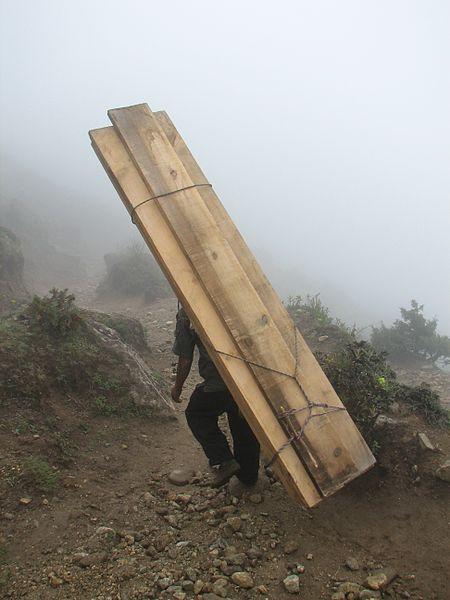 sherpa carries huge wood planks