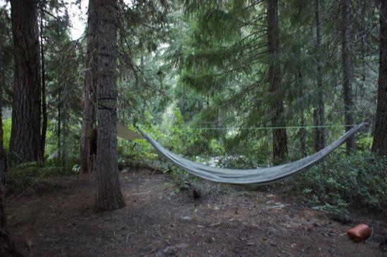 hammocks
