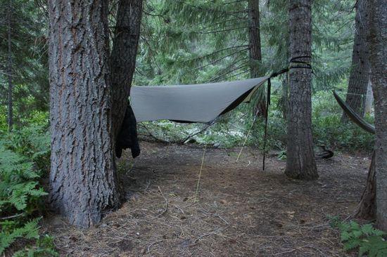 hammocks