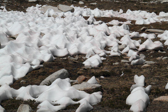 nieve penitente