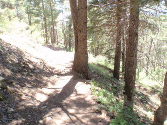 switchbacking