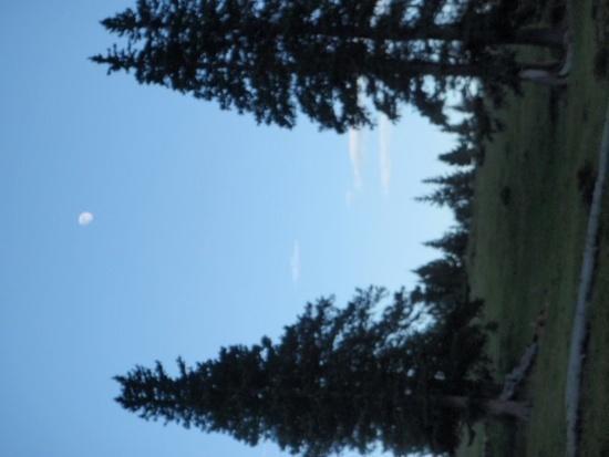 full moon