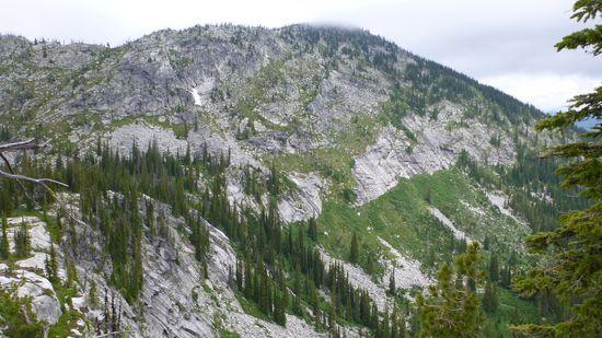 selkirks