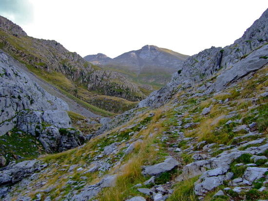 Looking up towards Foya de Secús