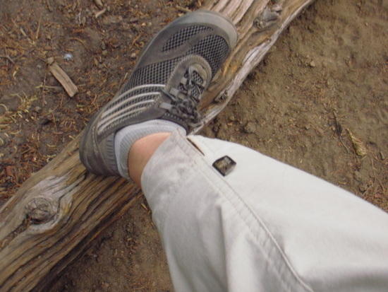 trail gloves