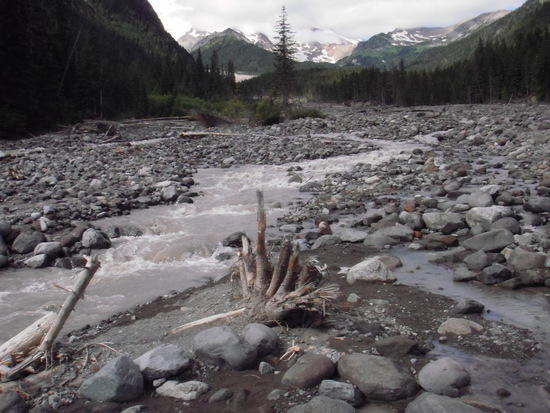 braided river