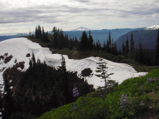 Mt Baker view