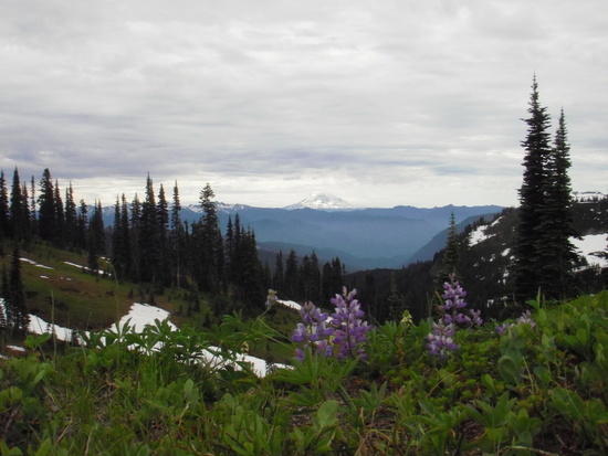 beautiful view