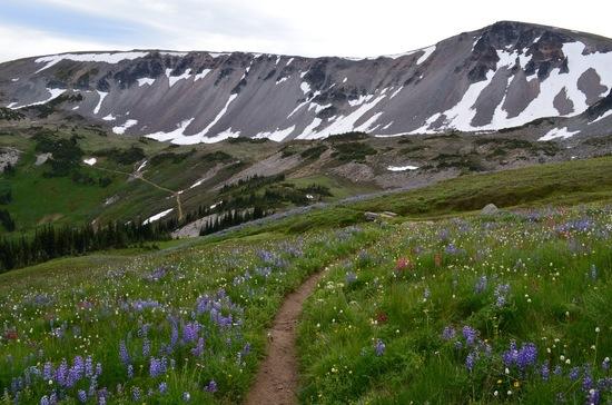 Trail