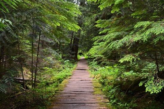 Trail