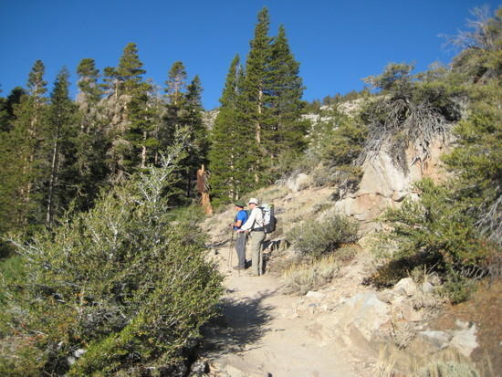 Onion Valley