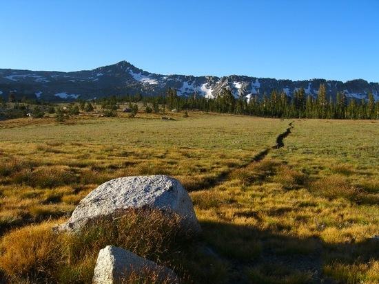 Magnificent meadow going toward Post Peak Pass