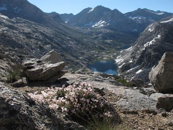 Looking back onto Palisade Lakes, halfway up Cirque Pass