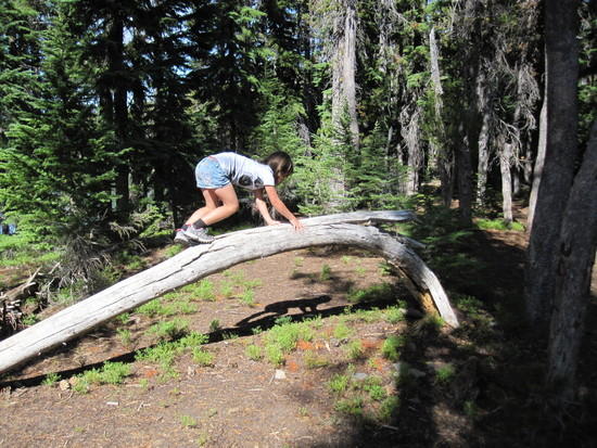 Wilderness Gymnastics - 4