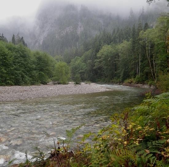 USFS 1003