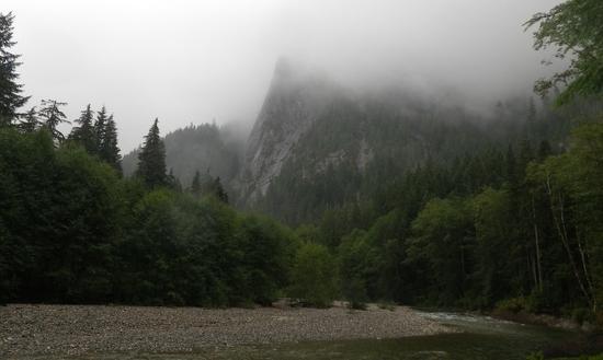 USFS 1003
