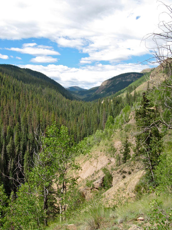 Looking up the Ute Creek canyon into the Weminuche