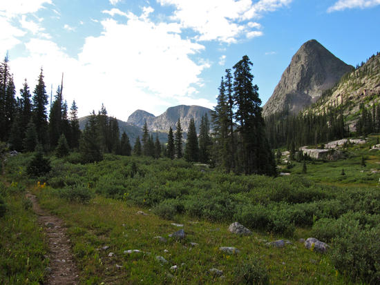 Peaks of the Needle Mountains rising above Vallecito Creek