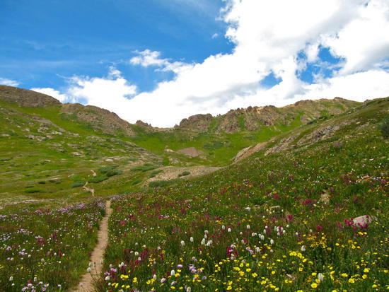 Trail up to Columbine Pass - every bit as steep as it looks