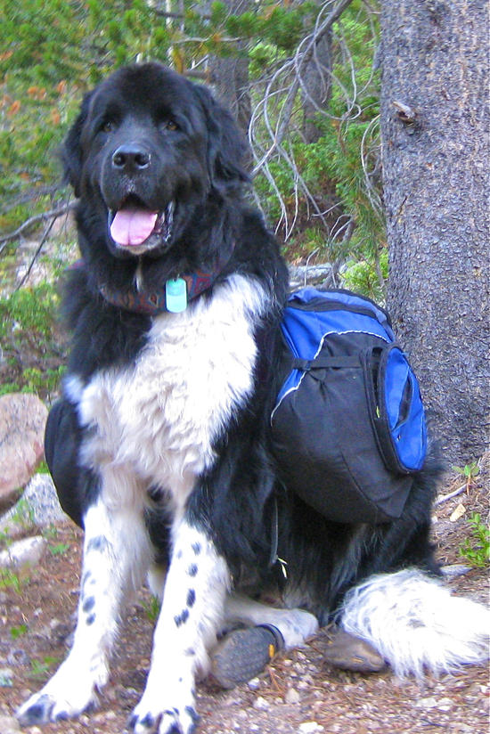 Always ready for a hike