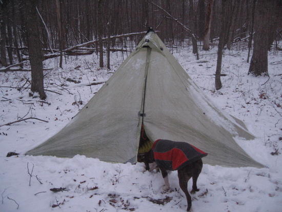 Duomid and Dog in the Snow