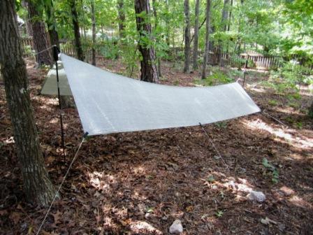 Tarp 1