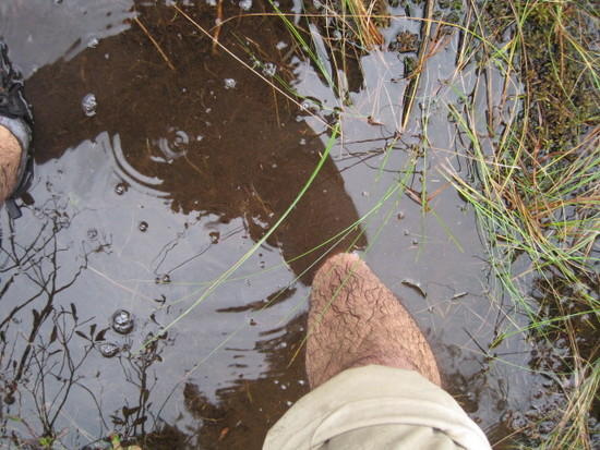 quicksand