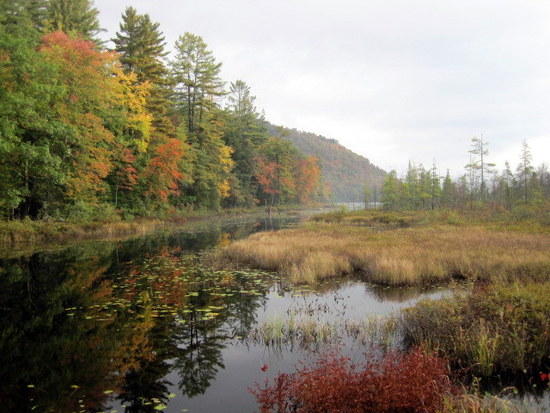 fall colors
