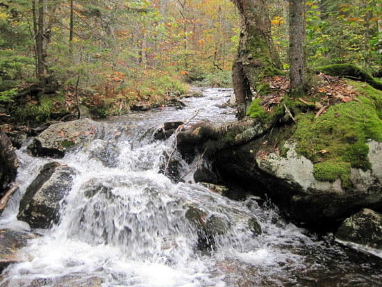 falls