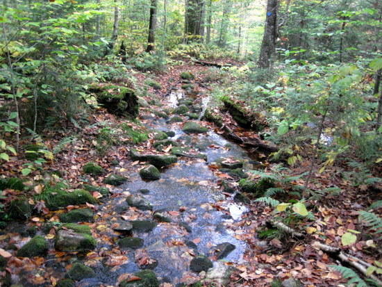 stream path