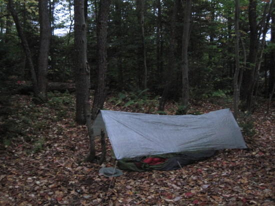 tarp