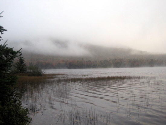 tirrell pond