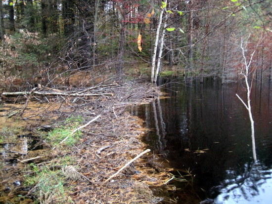 walking on dam