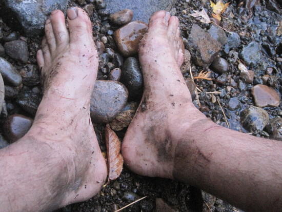 feet