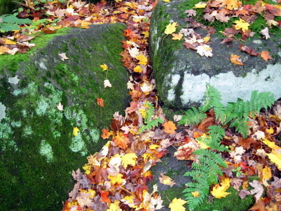 rocks