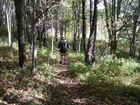 Lazarus on the trail to Low Gap