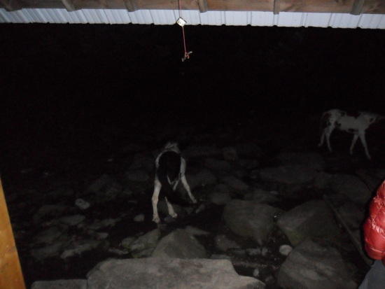 Arrival at Thomas Knob Shelter