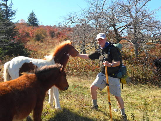 Lazarus with Ponies