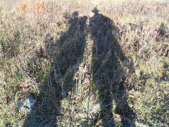 Cast A Giant Shadow!