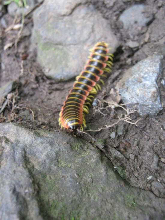c3