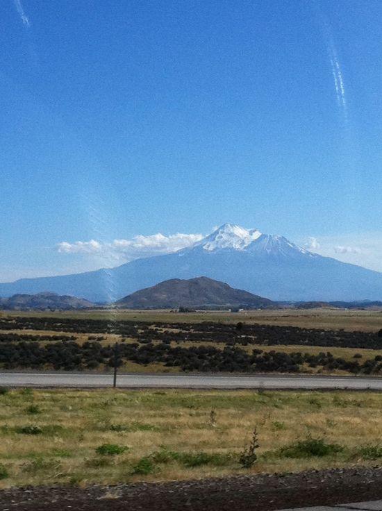 Mt. Shasta