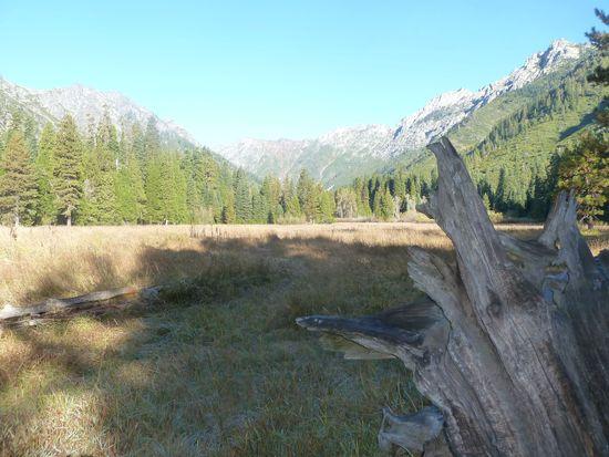 morris meadow