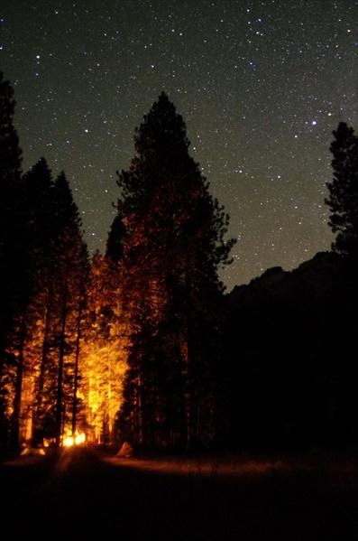 Stars