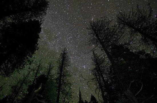 Stars